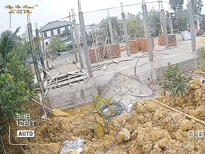Video: Bé trai gần 3 tuổi cố gắng cứu bạn rơi xuống ao trước khi gọi người lớn
