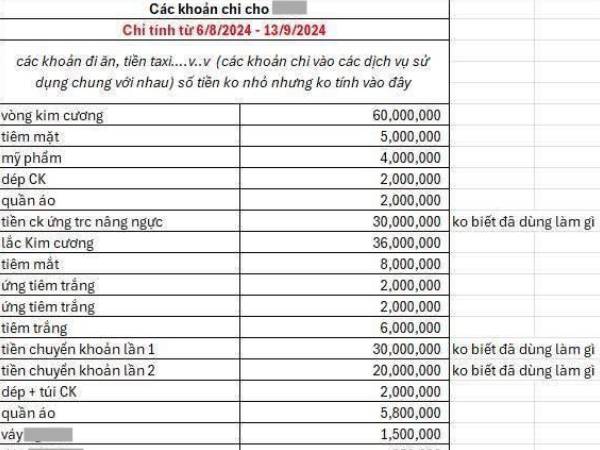 Bảng sao kê có vị chua và chát: Chu cấp cho bé yêu gần 250 triệu/tháng, anh trai ly hôn vợ nhận cái kết phũ