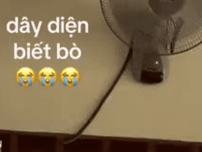 Phóng to clip, nhiều người bủn rủn chân tay khi chứng kiến 'vị khách lạ' đánh đu trên tường