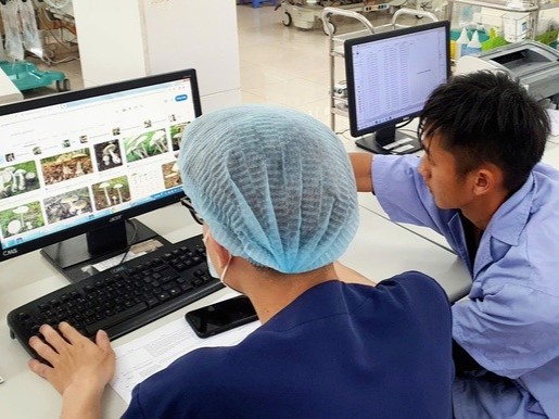 Vợ chồng trẻ hôn mê sau bữa cơm có nấm trắng