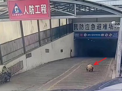Ông nội đón cháu trai tan học nhưng lại không về thẳng nhà, camera ghi lại khoảnh khắc kinh hoàng