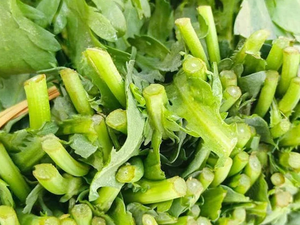 4 loại rau 'không bao giờ bị phun thuốc trừ sâu', nhất là cái số 1