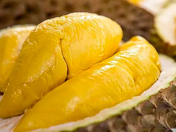 Loại quả phải 'giải cứu' nhiều năm, nay giá còn cao hơn sầu riêng