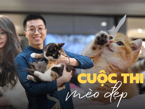 Hội cô, cậu chủ mặc Việt phục, trang điểm từ 12h đêm để sáng sớm đưa 'hoàng thượng... hồi cung'