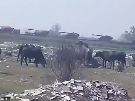 Pakistan di chuyển hàng loạt pháo tự hành tới biên giới Ấn Độ