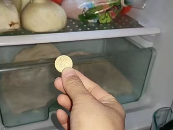 Đặt một đồng xu vào tủ lạnh trước khi đi chơi xa, tôi yên tâm bảo vệ sức khỏe cả nhà