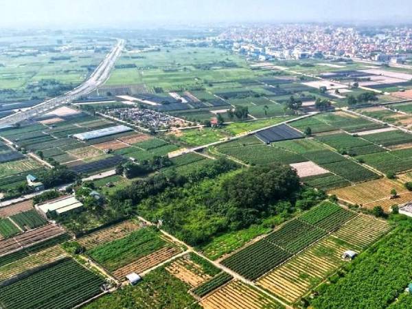 Đất đấu giá tỉnh lẻ có giá trúng cao hơn các huyện ở Hà Nội, vì sao?