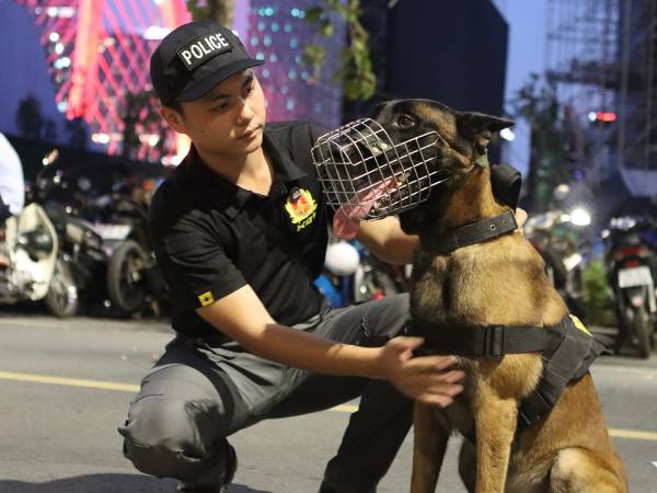 Những trợ thủ đặc biệt của cảnh vệ chuyên phát hiện chất nổ ở phòng VIP lễ 30/4