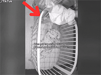 Kiểm tra camera phòng của con sáng sớm, bà mẹ ngay lập tức bật khóc khi thấy cảnh này: 'Đó là điều tuyệt vời nhất tôi từng thấy trên Internet'