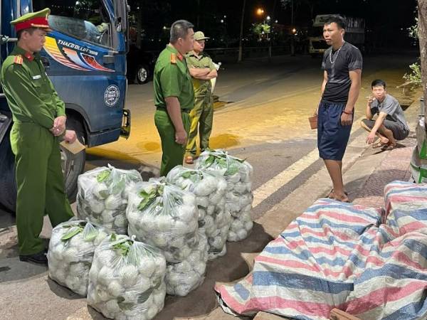 Sơn La phát hiện hơn 300kg rau, củ, quả nhiễm hóa chất độc hại