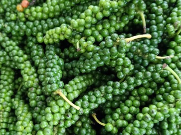 Tiêu xanh Việt Nam tăng đột biến 1.300%, chợ bán 1,6 triệu đồng/kg