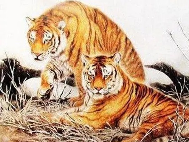 Bắt đầu từ ngày mai, vận may của 3 con giáp này thay đổi, có nhiều cơ hội về tài lộc, tràn đầy phúc lành