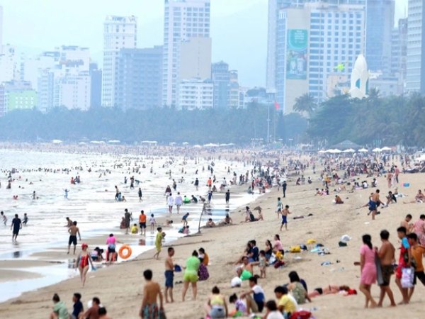 Sứa lửa xuất hiện tại bãi biển Nha Trang, Ban quản lý vịnh phát đi cảnh báo an toàn