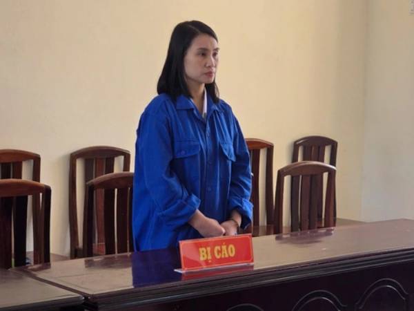 Phú Quốc: Người phụ nữ sinh 5 con liên tiếp để trốn thi hành án, lĩnh tổng mức án 30 năm tù