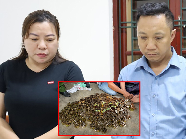 Phá đường dây đa cấp 'khủng': Giao dịch hàng nghìn tỷ đồng, hơn 9.000 người liên quan