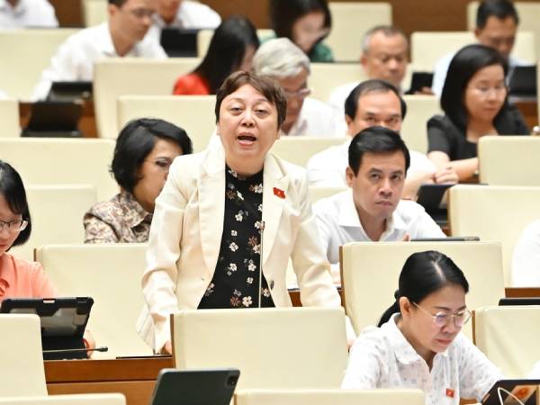 Đại biểu Quốc hội: 'Thanh tra đến đâu, hàng giả giấu đến đó'