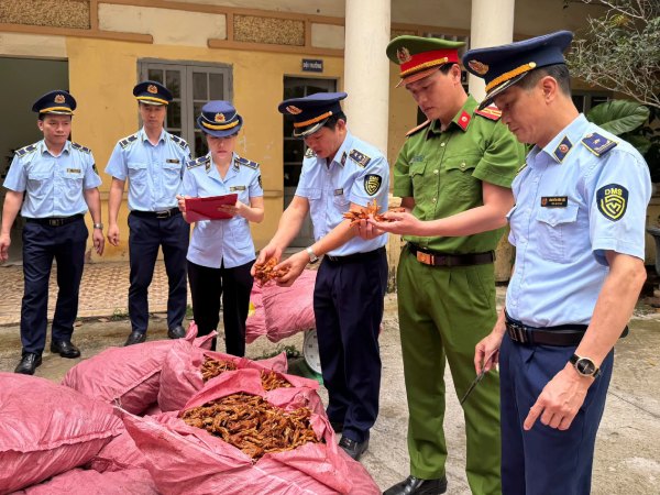 Liên tiếp phát hiện thực phẩm bẩn, hàng giả, hàng lậu tại nhiều tỉnh thành