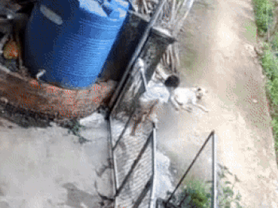 Búp măng non vượt ngàn chông gai để trốn nhà đi chơi, xem lại camera, mẹ bé muốn cạn lời khi thấy con ôm 'bạn tri kỷ' ngủ giữa đường!