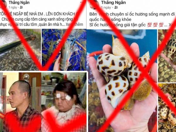 Cặp vợ chồng 'chốt đơn' hải sản ảo cho hàng trăm người, chiếm đoạt 300 triệu