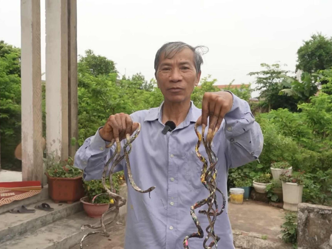 'Dị nhân' Nam Định nuôi móng tay 35 năm không cắt lên tiếng về thông tin muốn bán bộ móng với giá 7 tỷ