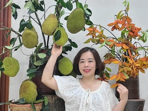 Quả mít, cành roi, chùm vải 'lên bình' đẹp lạ, gây sốt mạng