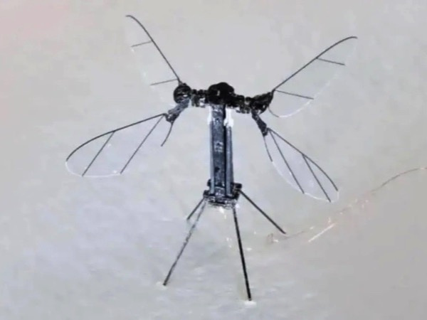 Trung Quốc ra mắt UAV kích thước bằng con muỗi để giám sát bí mật