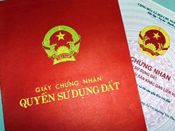 Quý tử 'báo hiếu' cha mẹ già vướng vòng lao lý
