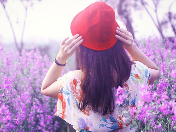 Ảnh bìa bài viết 493652