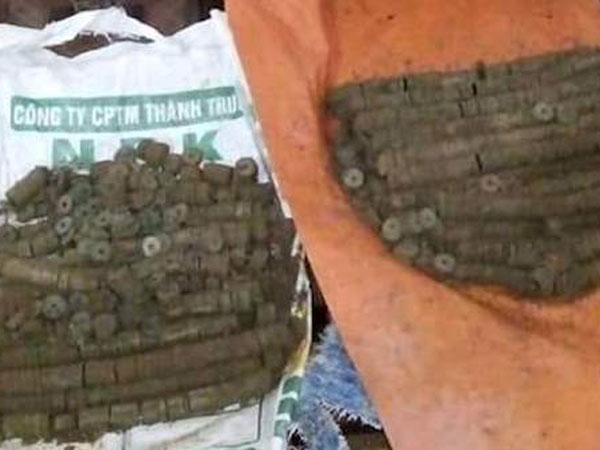 Nông dân đào được hơn một tạ tiền xu
