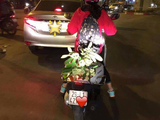 Thiếu nữ dũng cảm nhất miền Bắc đây rồi: Bẻ cành hoa sữa mang về để cho thơm nhà