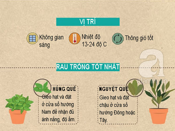 Trồng rau trong nhà phố tưởng không dễ hóa ra lại dễ không tưởng nhờ biết những mẹo này