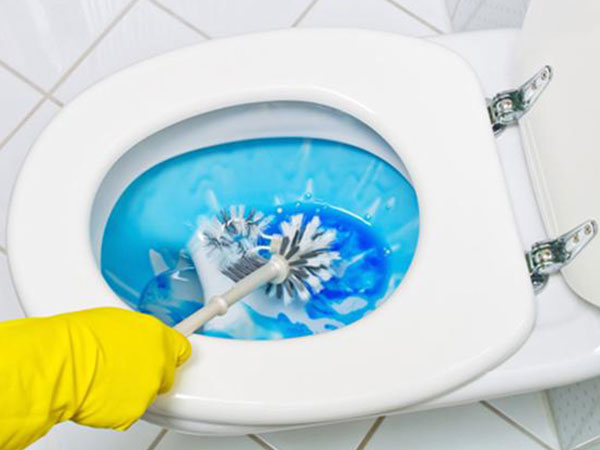 Toilet vẫn thơm sau khi đi vệ sinh nhờ vài mẹo đơn giản