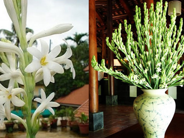 Cúng hoa trên bàn thờ dù là ai cũng nhất định phải biết điều này