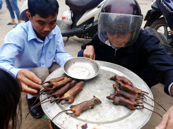 'Đột kích' nơi phụ nữ, trẻ nhỏ thích ăn thịt chuột hơn thịt gà giữa Hà Nội