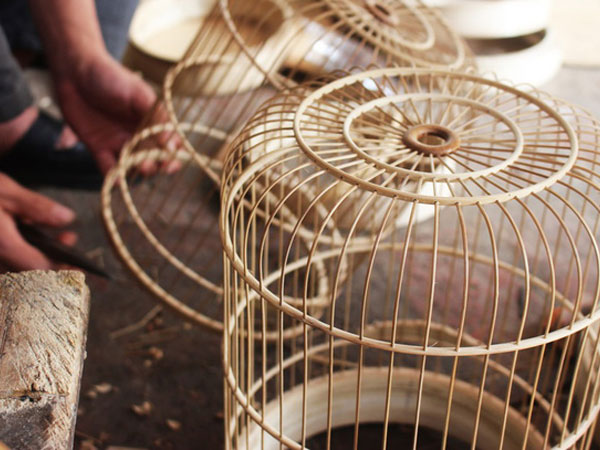 Ngôi làng của những 'triệu phú lồng chim' giữa Thủ đô