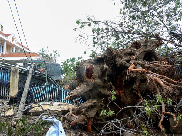 3 ngày sau bão, Nha Trang vẫn ngổn ngang