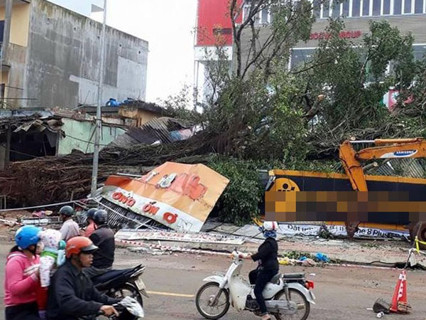 Cây đa cổ thụ bật gốc đè sập nhiều cửa hàng