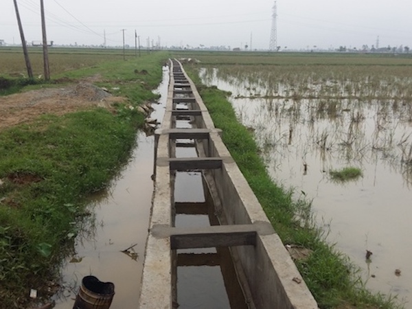 Nghệ An thanh tra dự án thủy lợi 80 tỷ đồng nghi có sai phạm