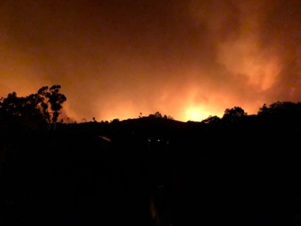 Người gốc Việt sơ tán vì cháy rừng lớn ở Nam California