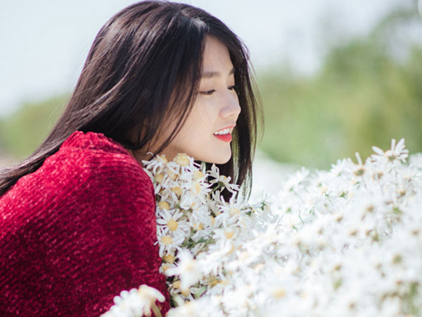 Say mê ngắm hot girl Sài thành đẹp như tranh vẽ bên cúc họa mi Hà Nội