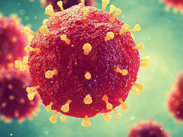 Bùng phát virus giết người "giống Ebola" tại châu Phi, hiện chưa có thuốc chữa