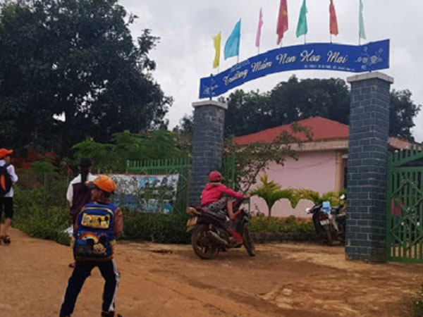 Đắk Lắk: Giáo viên ký đơn tập thể tố ban giám hiệu ăn bớt suất ăn học sinh