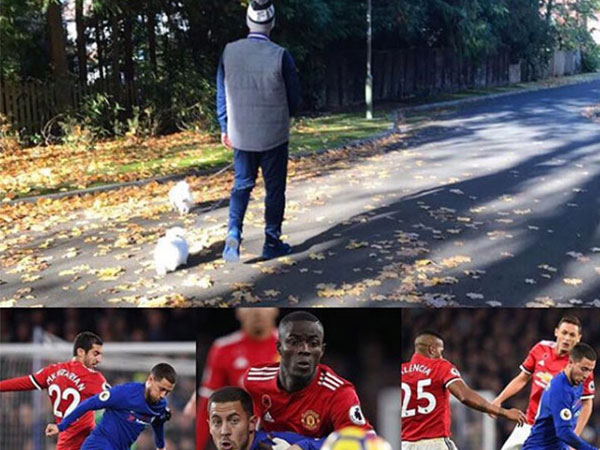 Hazard bị chửi bới vì đăng ảnh dắt hai con chó để trêu tức cầu thủ MU