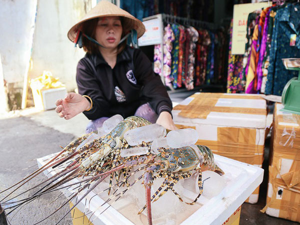Người dân vùng bão gửi tôm hùm vào Sài Gòn bán tháo kiếm tiền sửa nhà