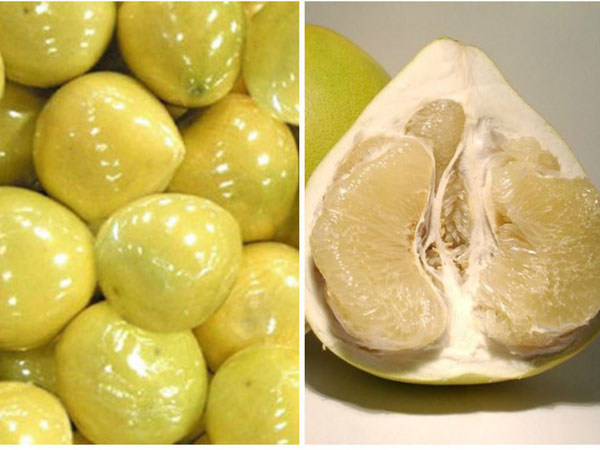 Buôn bưởi vàng óng Trung Quốc thương lái 'khóc ròng'