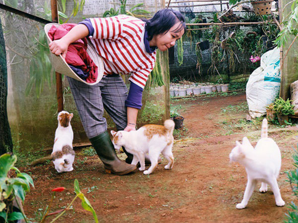 Cô thạc sĩ Sài Gòn bỏ phố lên rừng, trồng hoa và sống trong ngôi nhà nhỏ với 5 chú mèo ở Đà Lạt