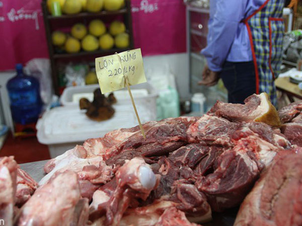 Chưa đủ cơ sở nhận định toàn bộ thịt ở 5 tỉnh phía Nam nhiễm E.coli