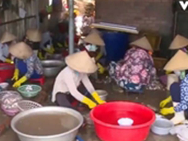 Cận cảnh quy trình ngâm cá bằng... thuốc tẩy giun động vật