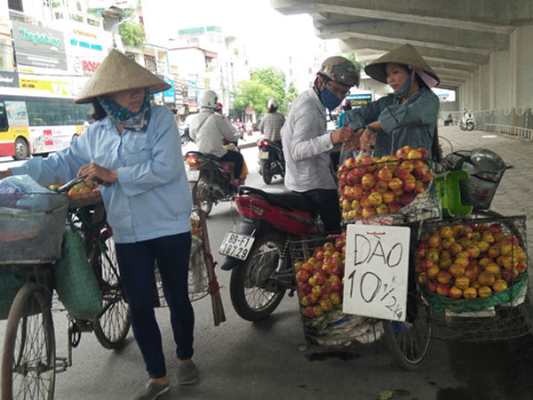 Hà Nội: Có tới 80% trái cây tại các chợ đầu mối không rõ nguồn gốc