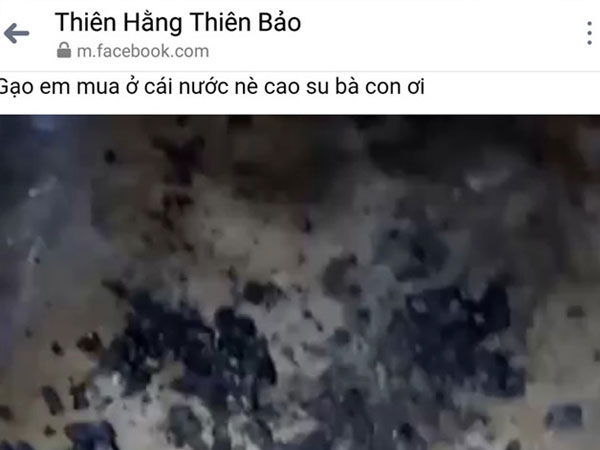 Cà Mau xác minh thực hư về thông tin gạo làm từ cao su